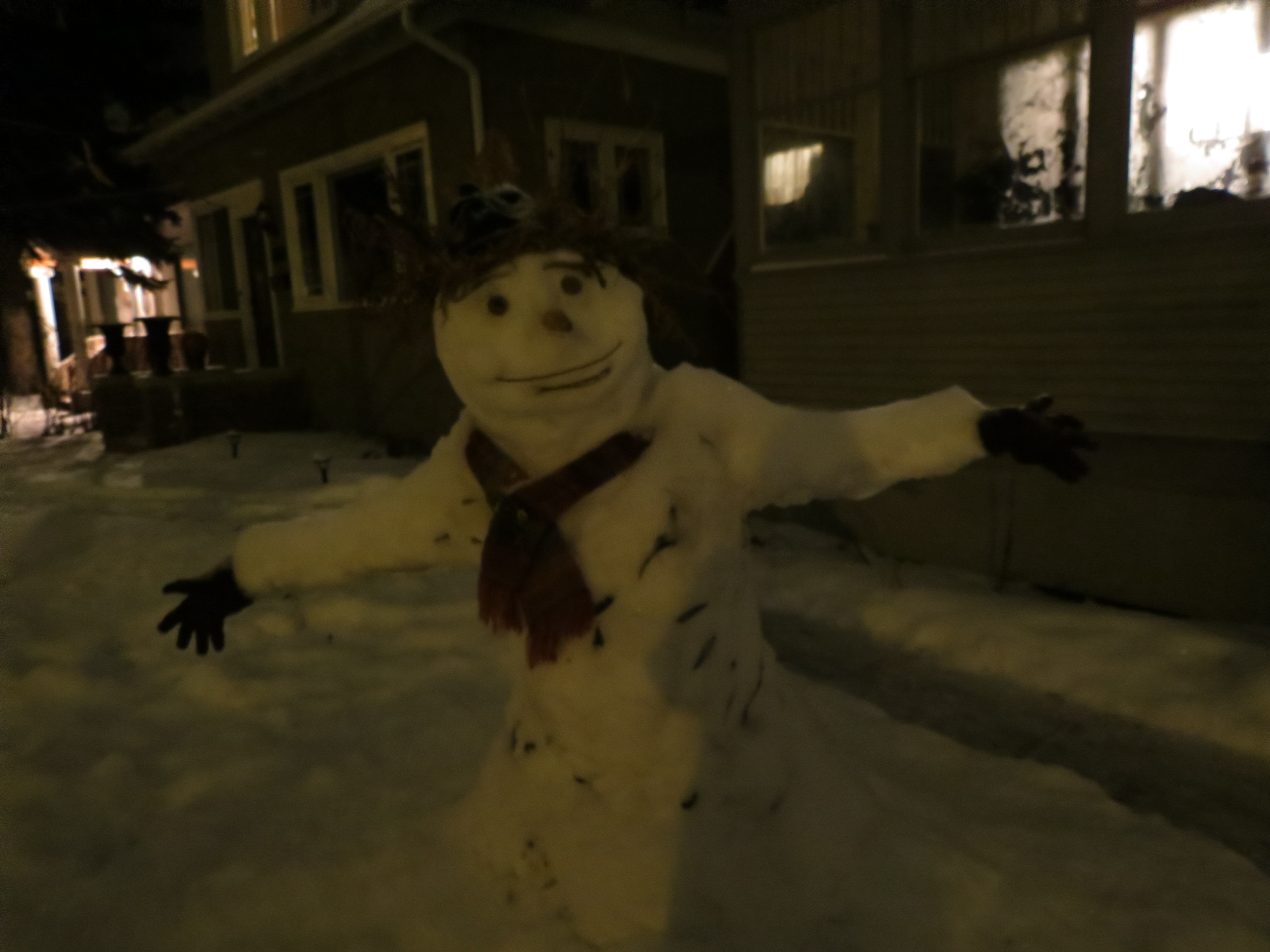 Snowman Real Life Artist